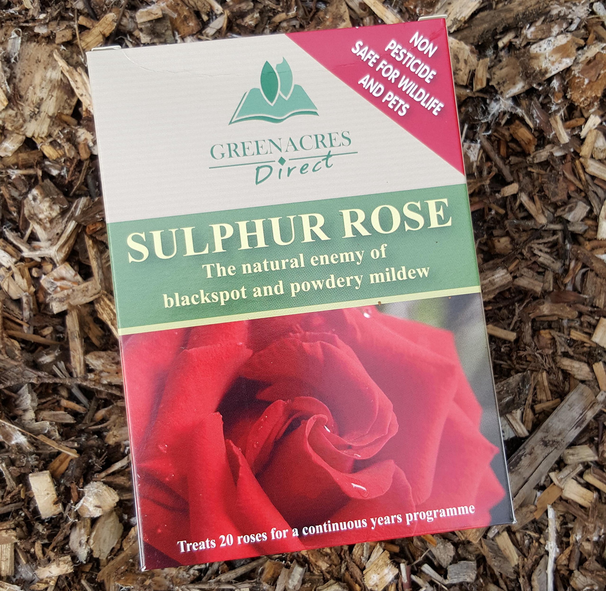 View 6