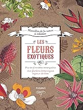 Download Les fleurs exotiques : Plus de 40 modèles remarquables des Jardins botaniques royaux de Kew PDF