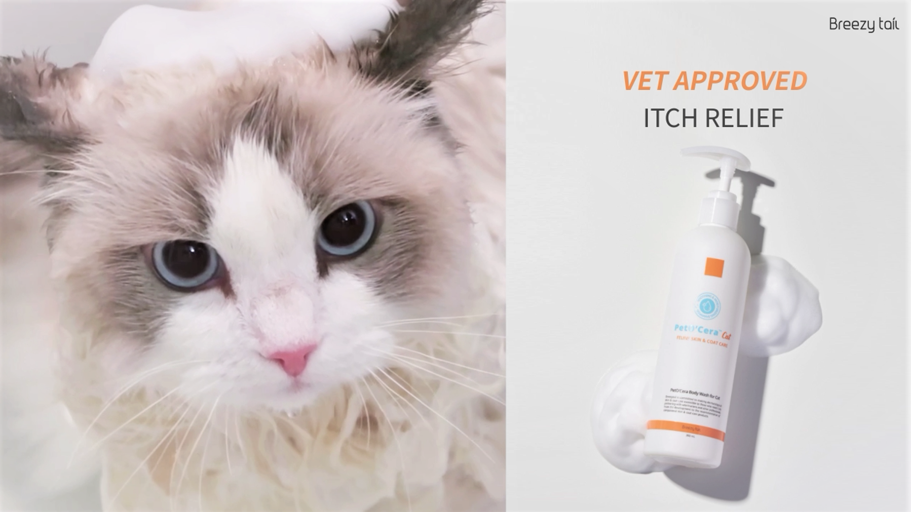 Amazon.com : Breezytail PetO'Cera All-in-One Cat Shampoo and