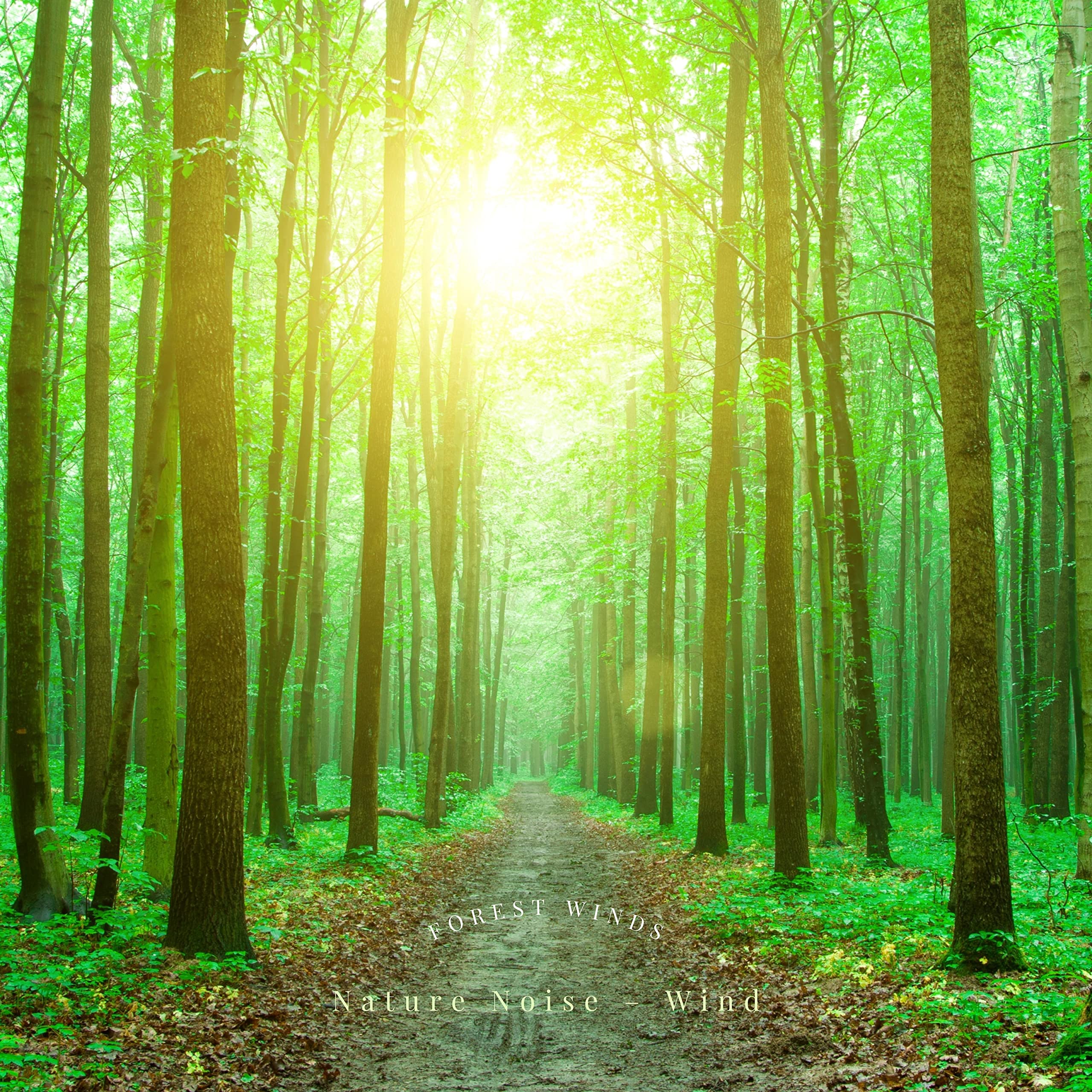 Nature Noise – Wind