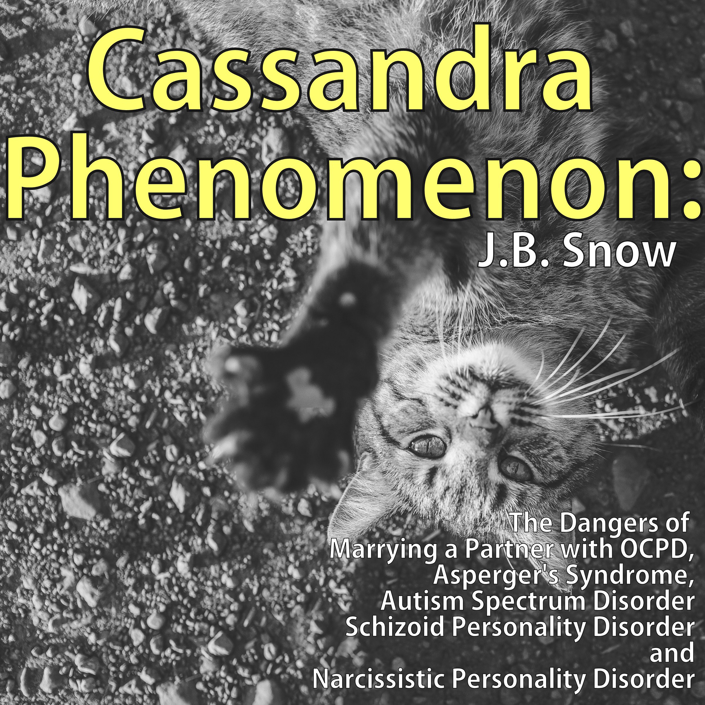 Cover art for Cassandra Phenomenon: The Dangers of Marrying a Partner with OCPD, Asperger's Syndrome, Autism Spectrum Disorder, Schizoid Personality Disorder, and Narcissistic Disorder