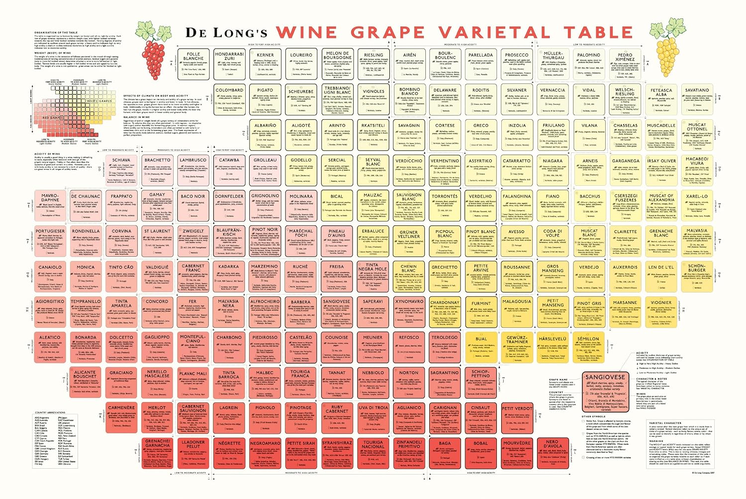 True Fabrications DeLong's Wine Grape Varietal Table Poster The