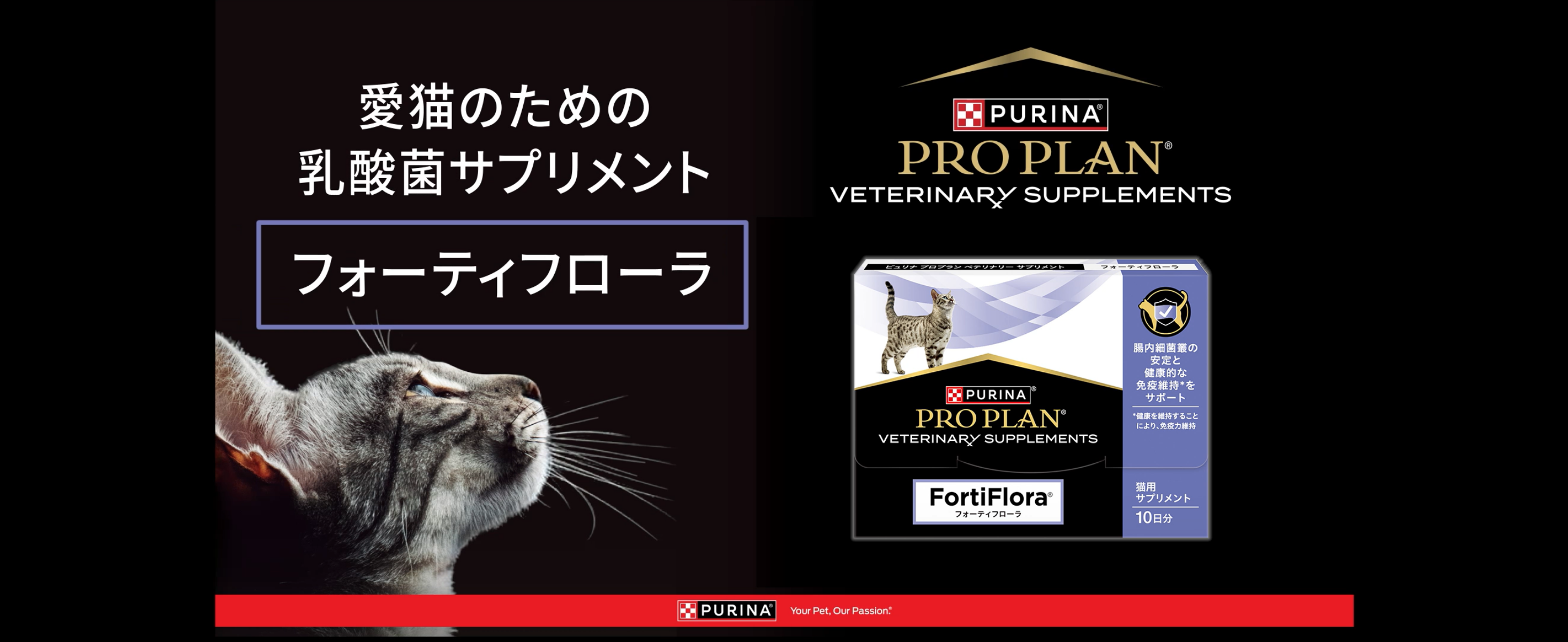 Amazon | ピュリナ プロプラン 猫用 乳酸菌サプリメント フォーティ