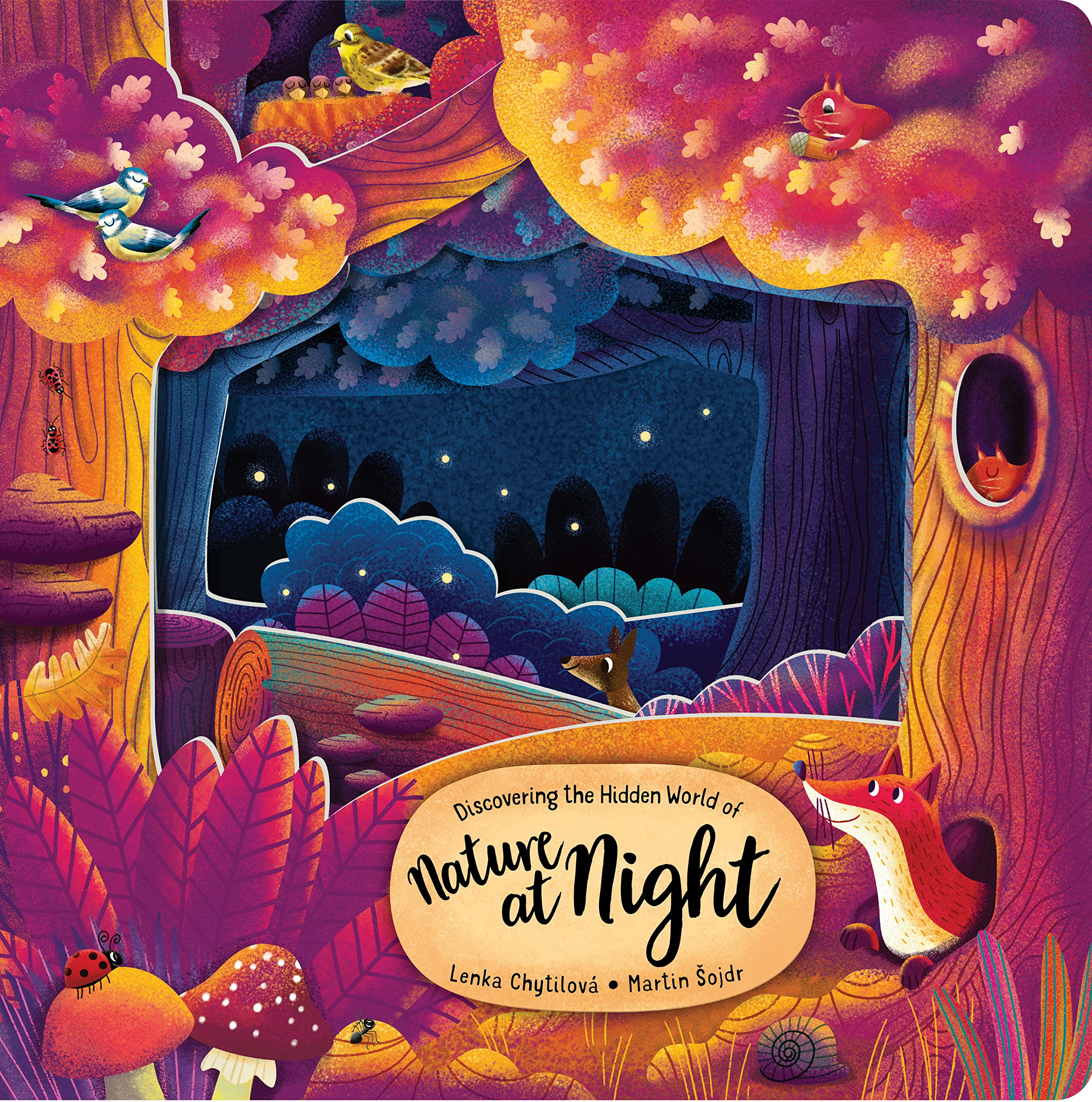 Discovering the Hidden World of Nature at Night (Peek Inside)