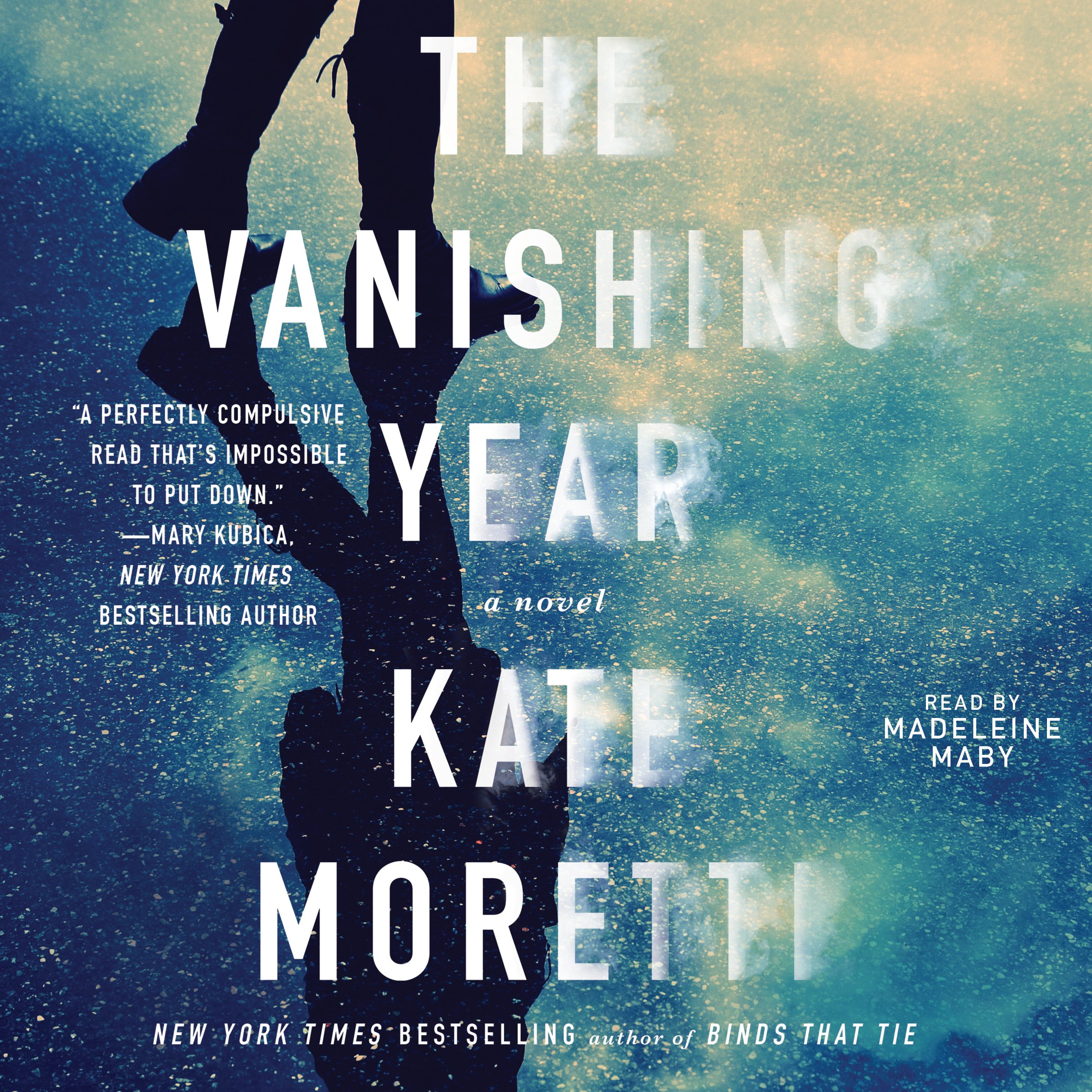 Cover art for The Vanishing Year