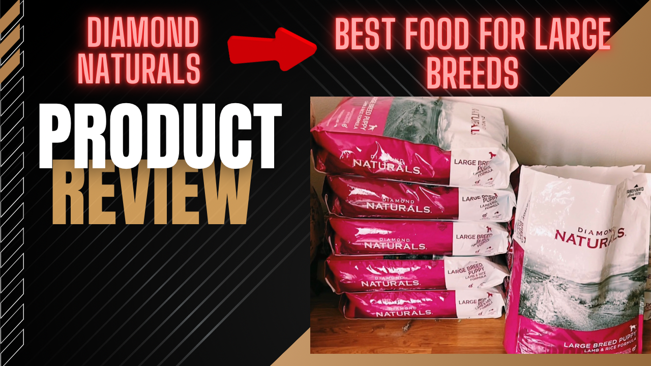25 pound bag acana duck and pear dry dog food ACANA Singles Duck & Pear Dry Dog Food 13 lb