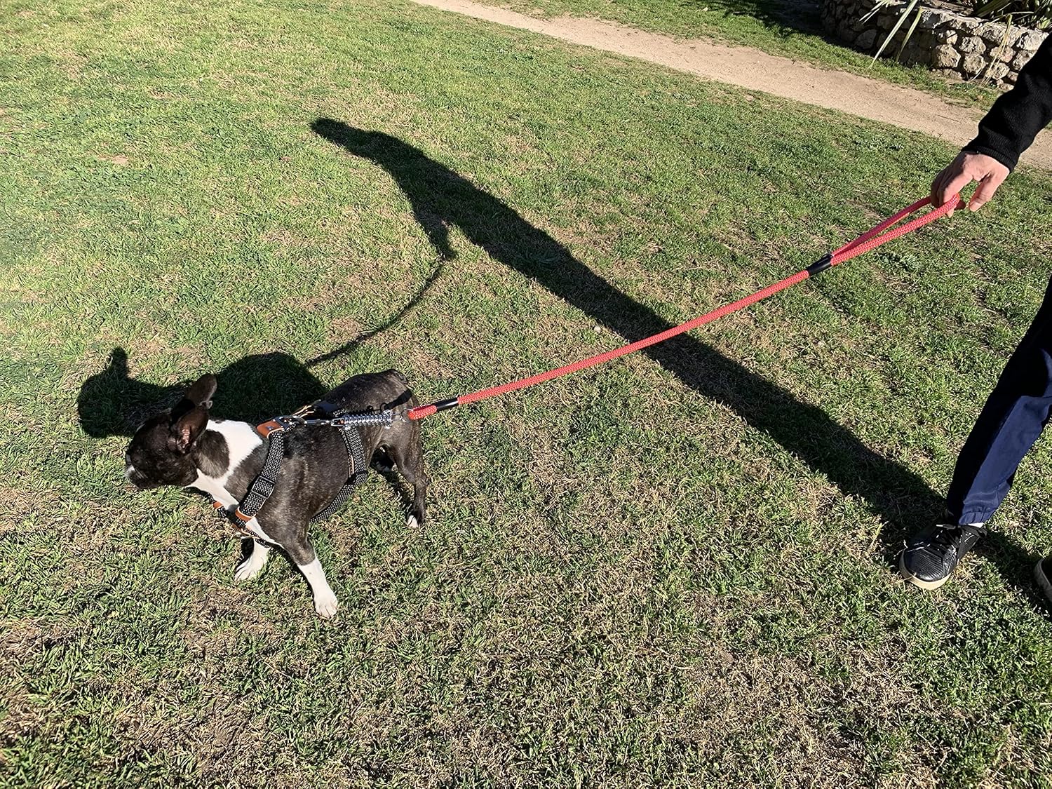 Dog Lead Strong for Large Dogs. Anti Pull Dog Lead Nylon with Spring