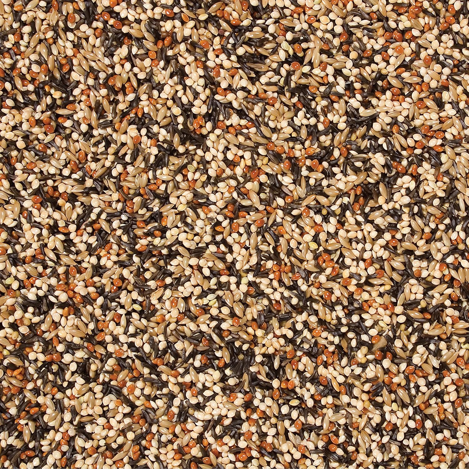 Wild Delight Outdoor Finch Food, 5 lb