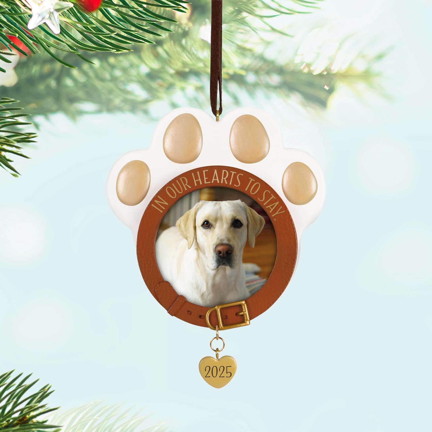 Hallmark Keepsake Christmas Ornament, in Our Hearts to Stay Paw Print Pet Photo Frame, Year-Dated 2025