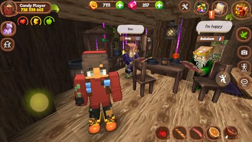 Pony World Craft
