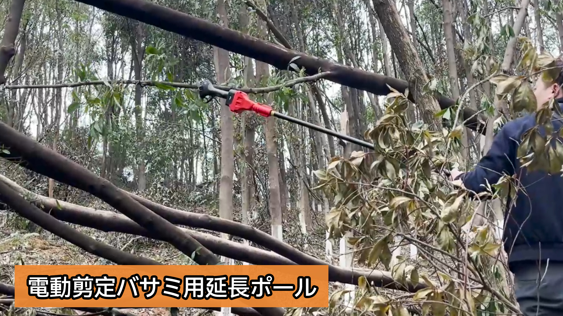 Amazon | Yireal 電動剪定バサミの延長ポール 高枝切り延長ポール