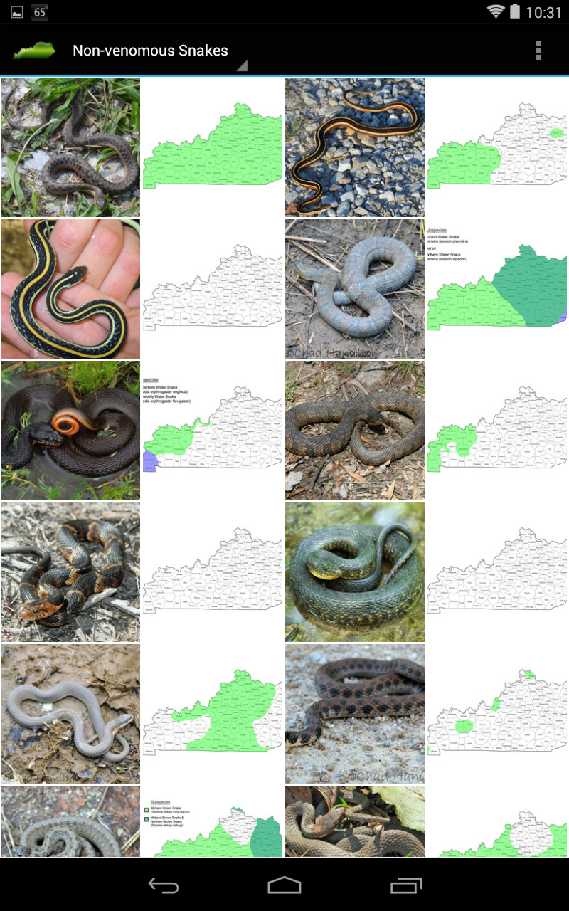 KY Reptile Guide for Android