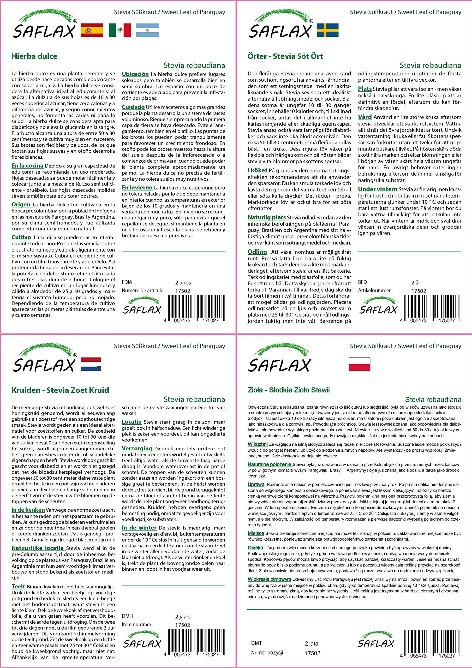 SAFLAX - Stevia - 100 semi - Con substrato - Stevia rebaudiana