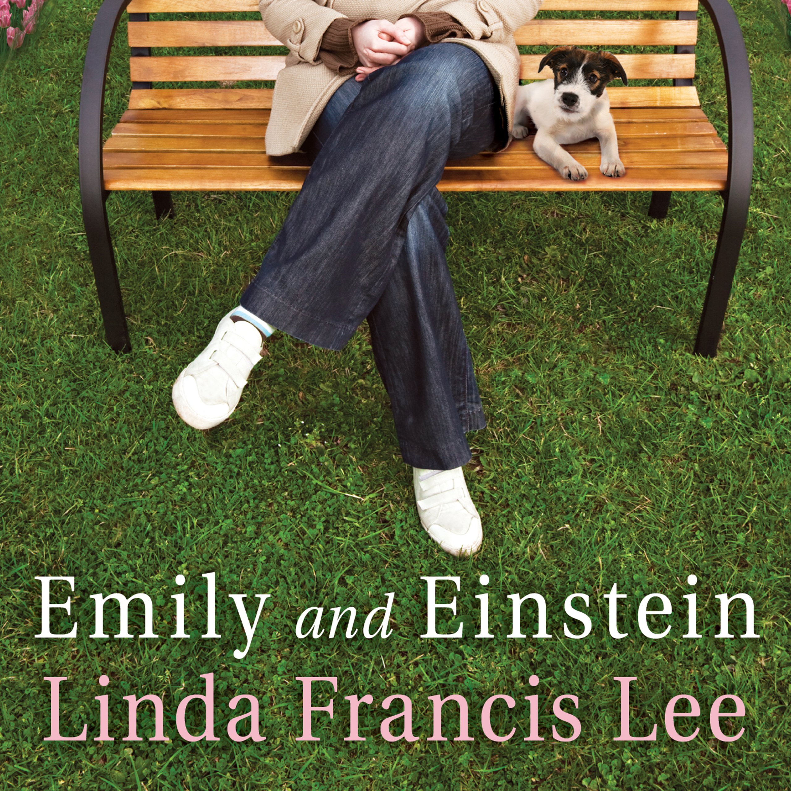 Cover art for Emily and Einstein
