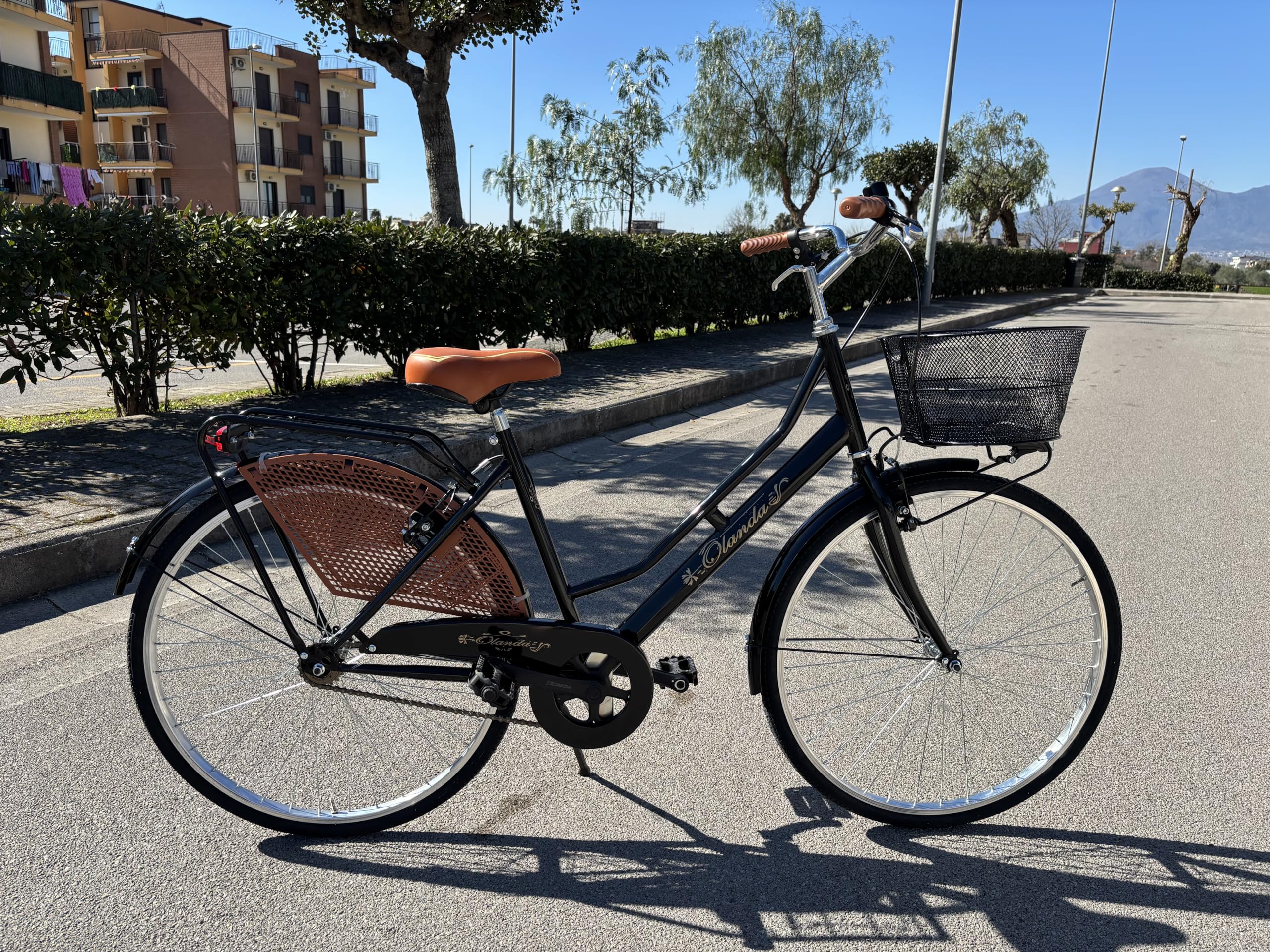 Bicicletta Donna da Passeggio Olanda Misura 26 Bici da città Vintage retrò con Cestino Nero