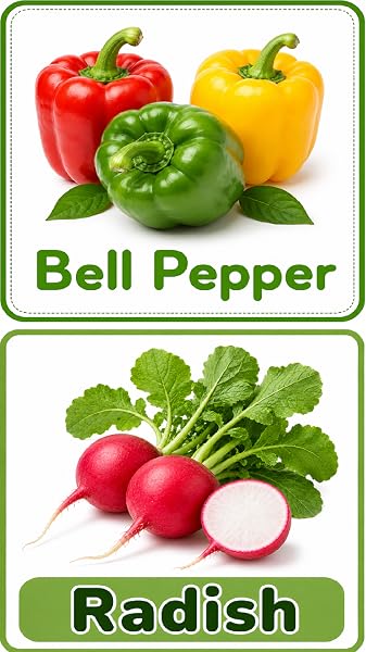 Vegetable Flash Cards for Kids ( Pronounciation, Offline, No-Ads) - 3