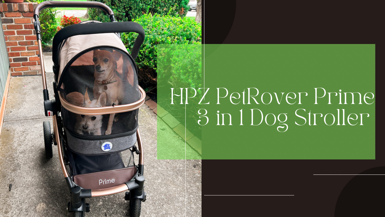 Watch HPZ PetRover Prime 3 in 1 Pet Stroller on Amazon Live