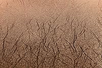 Vista 2 de Cricut Vinilo permanente - texturizado metálico, cobre, rollo de 4 pies (12 x 48 pies)