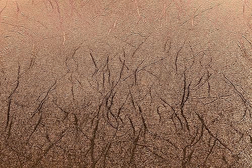 Miniatura 2 de Cricut Vinilo permanente - texturizado metálico, cobre, rollo de 4 pies (12 x 48 pies)