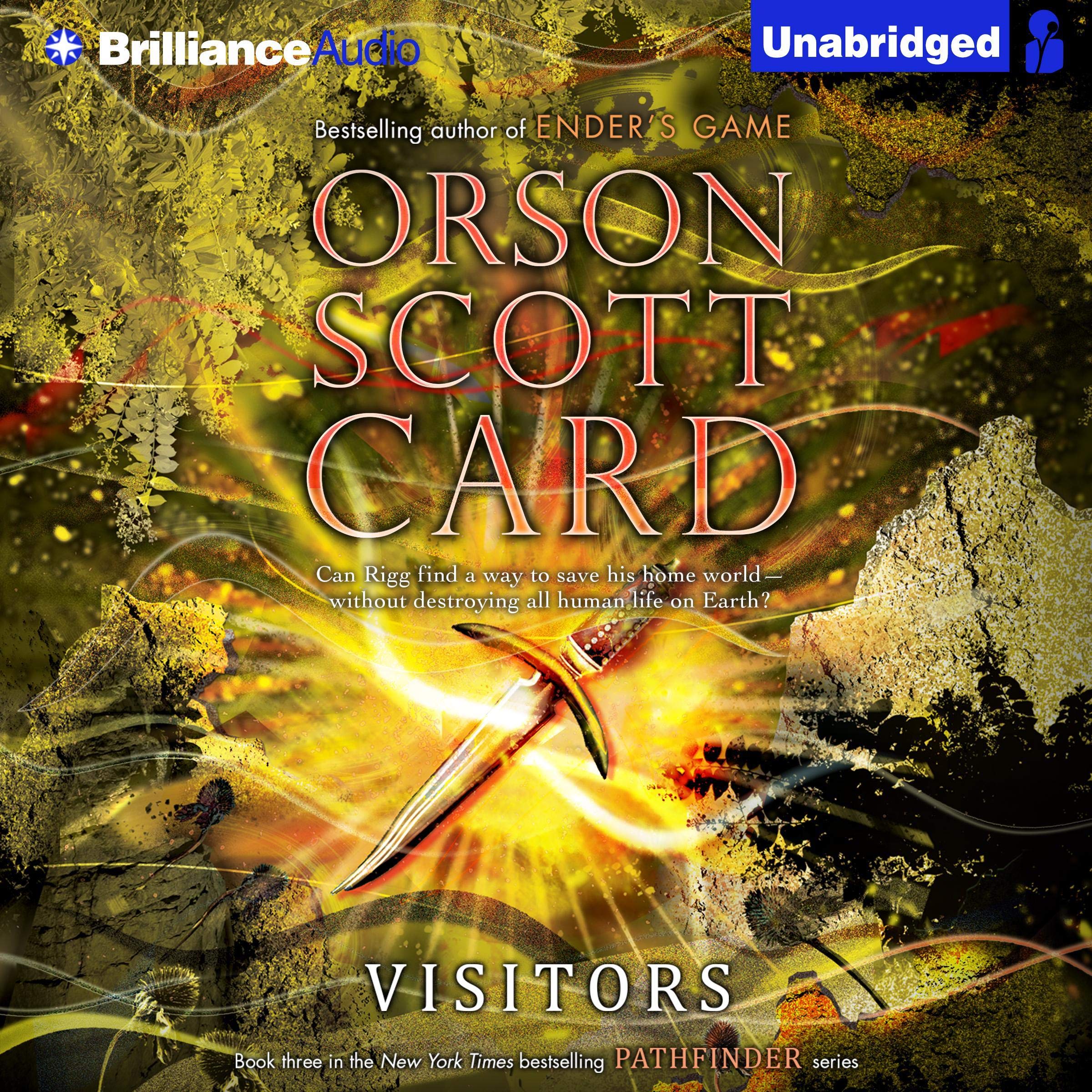Cover art for Visitors