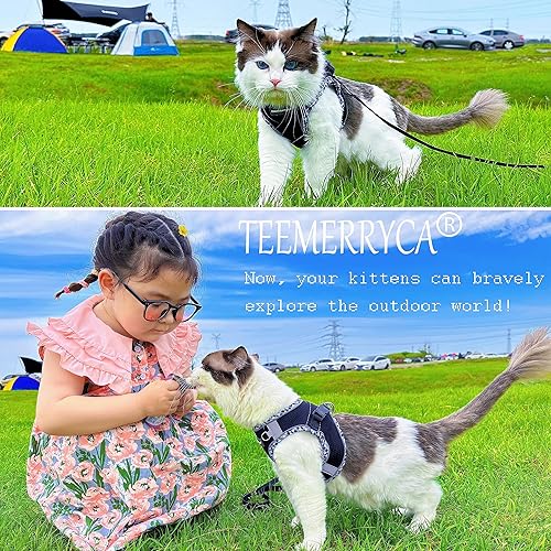 Miniatura 6 de TEEMERRYCA Juego de arnés y correa para perro pequeño, fácil de poner y quitar, chaleco reflectante ajustable para cachorros y perros y gatitos