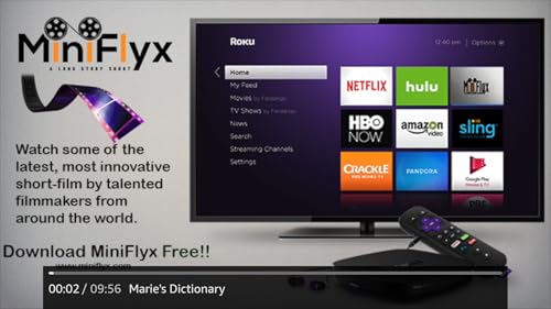 MiniFlyx TV