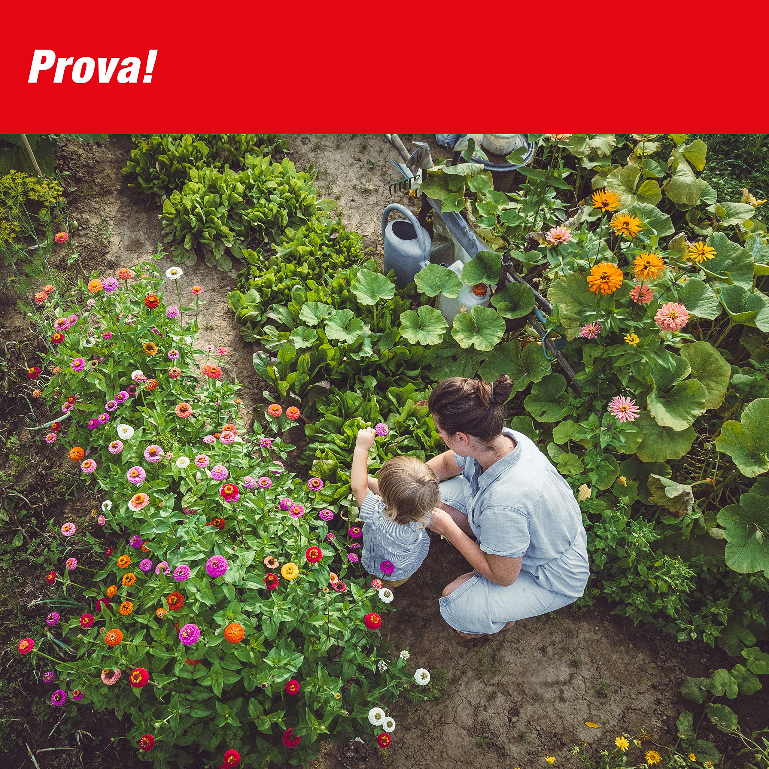 SWISSINNO Dissuasore solare talpe arvicole fino a 650 m² ultrasuoni vibrazioni anti roditori resistente alle intemperie per giardino prato funzionamento continuo giorno notte dispositivo 1 pezzo