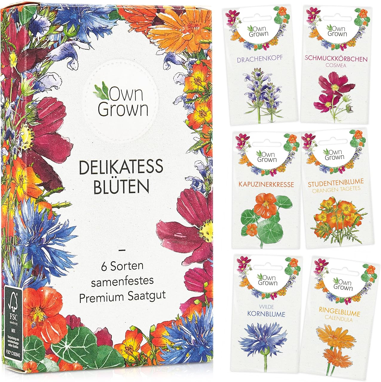 Sechs Blumen Saatgut 6 Top Sets im Pflanzen-Cluster 2026 mit Norm-Backbone