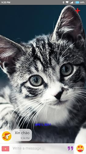 Sumi Chat - Cutest Talking Chatbot