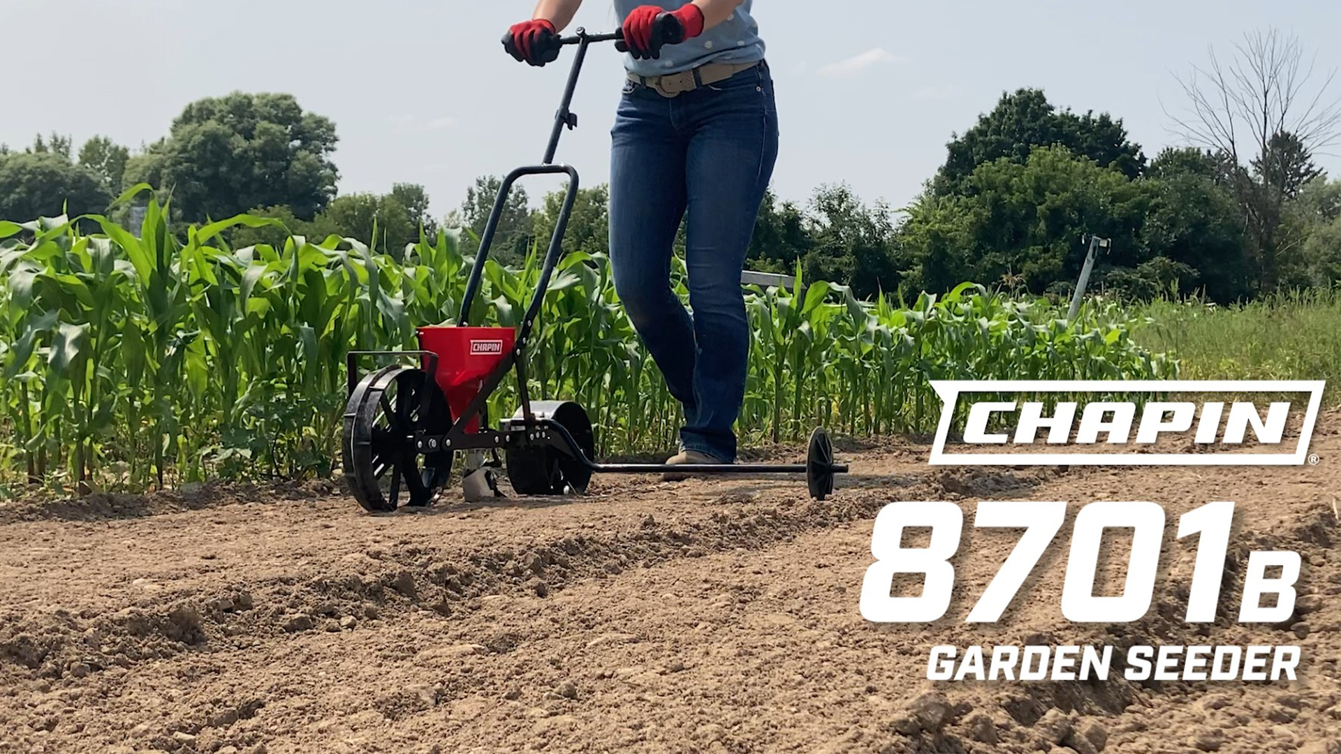 Amazon.com : Chapin 8701B Garden Push Seeder Planter with 6 Seed