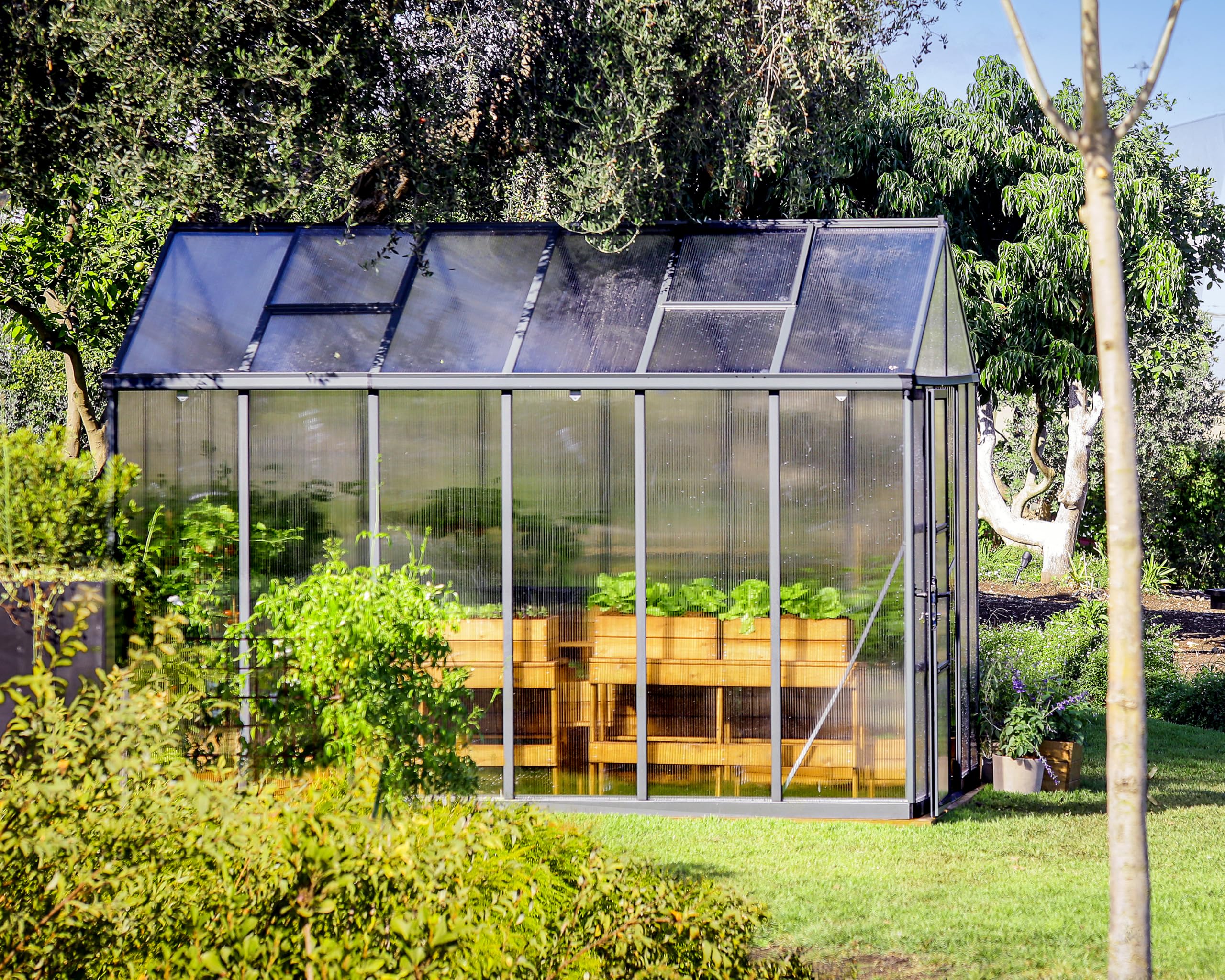 Canopia by Palram Gewächshaus Gross Glory 8x12 Treibhaus 253x364 cm Aluminium Anthrazit Tomatenhaus Polycarbonatplatten UV-beständig