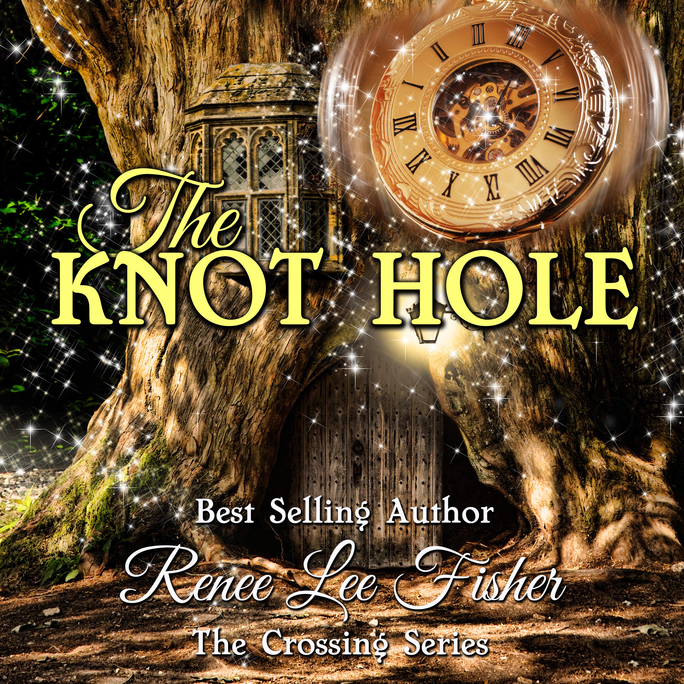 Cover art for The Knot Hole