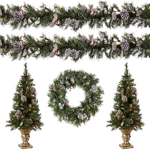 National Tree Company Pre-lit Holiday Christmas 5-Piece Set | Wreath, Set of 2 Entrance Trees and Garlands with White Lights