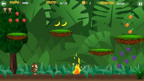 Monkey Rage – vue 4