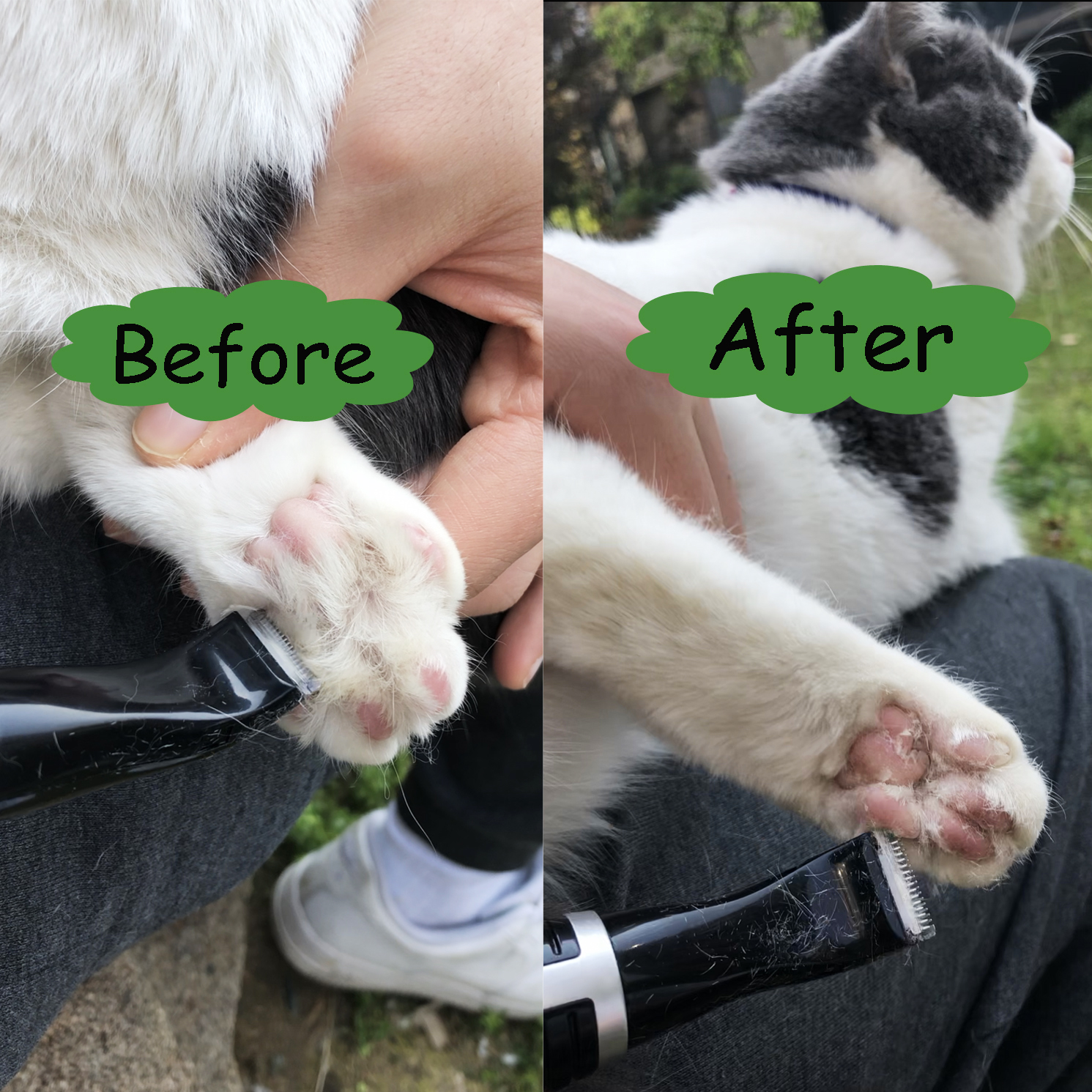 Dog Clippers, Cordless Cat and Small Dogs Clipper, Low Noise Electric Pet Trimmer, Dog Grooming Clippers for Trimming… - Image 8