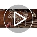Lighted Birch Tree Set 6ft*2 with 320(160 * 2) Warm White LED Lights for Holiday Decor - Realistic Design, UL Certified, Dimmable, IP44 Waterproof - Ideal for Indoor and Outdoor Decoration - Image 8