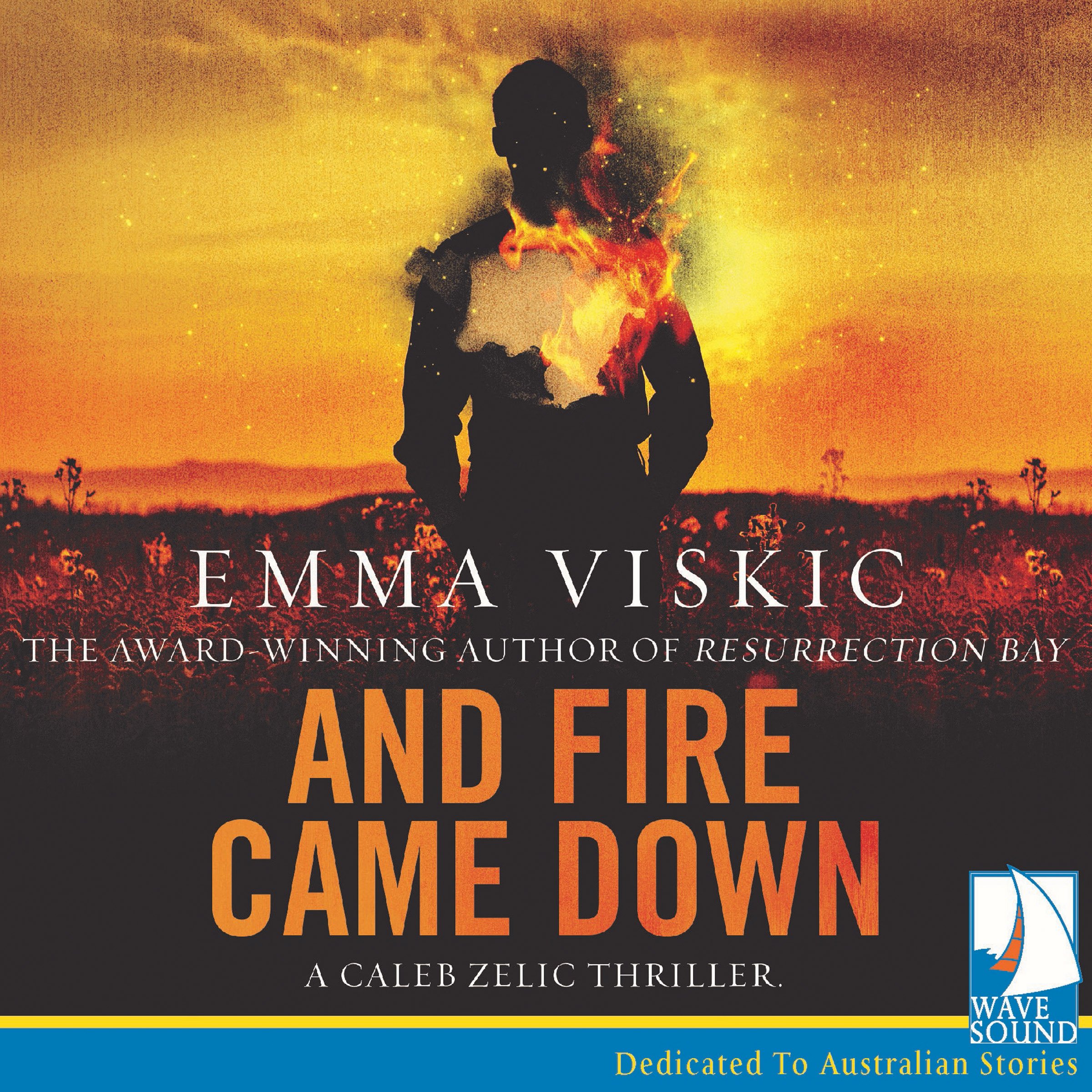 Cover art for And Fire Came Down
