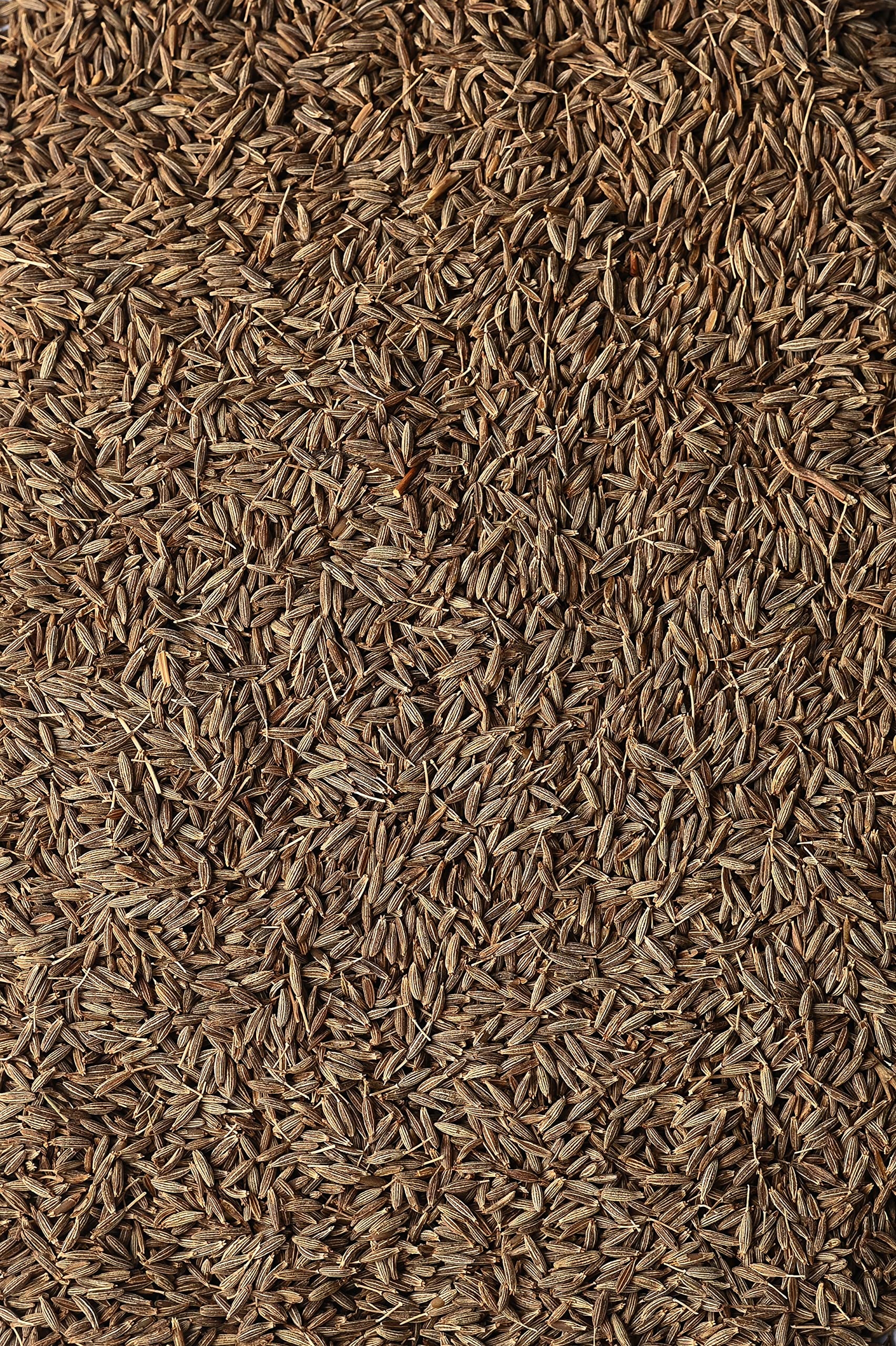 Biojoy Cumin en graines BIO (1 kg), Cumin entier, sans additifs (Cuminum cyminum)