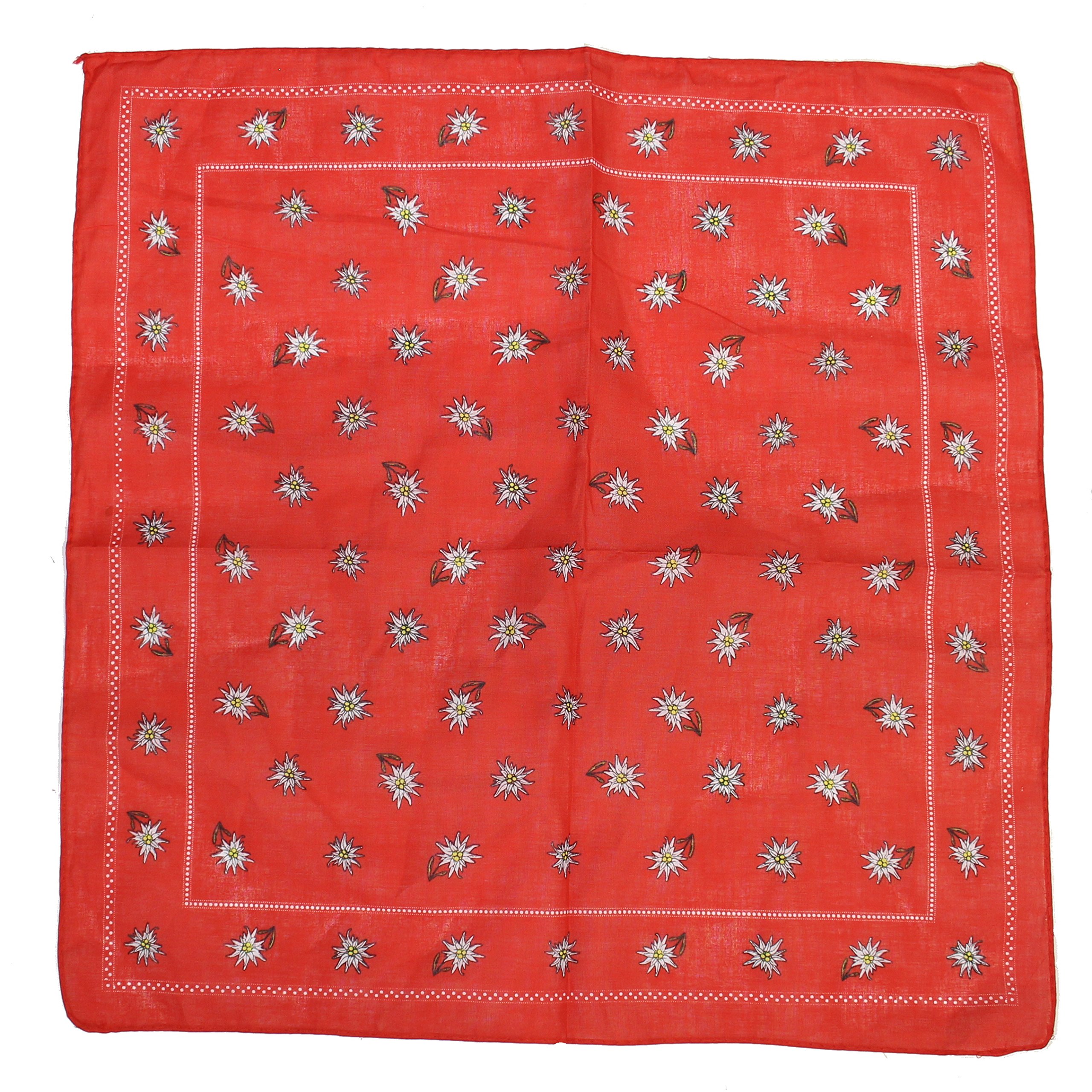 Zac's Alter Ego Vintage Style Winter Floral Print on Red Cotton Bandana