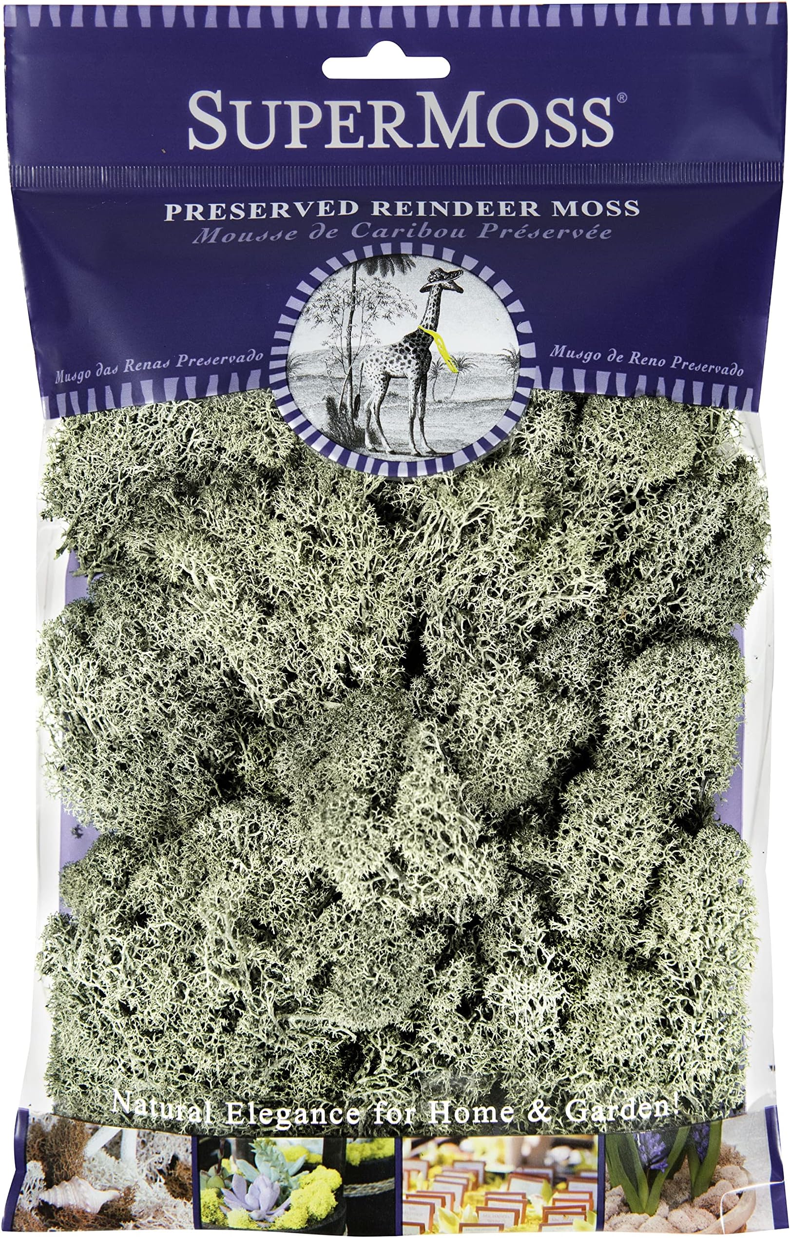 SuperMoss (25116) Reindeer Moss Preserved, Moss Green, 2oz