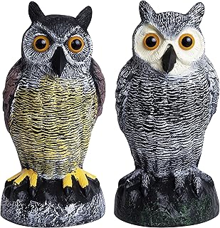 Galashield Owl Decoy | Plastic Owls to Scare Birds Away | Owl Statue for Garden & Outdoors [Set of 2]