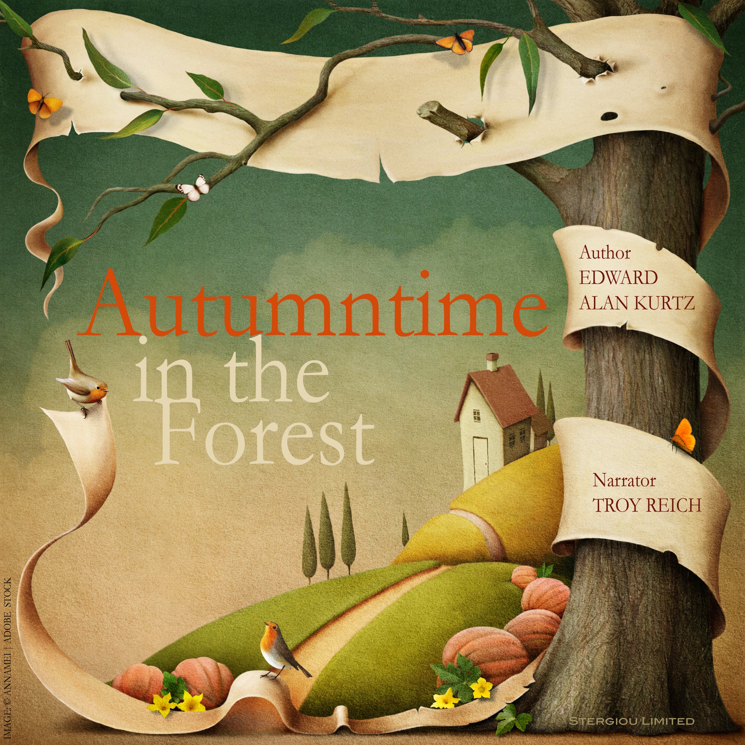 Autumntime in the Forest