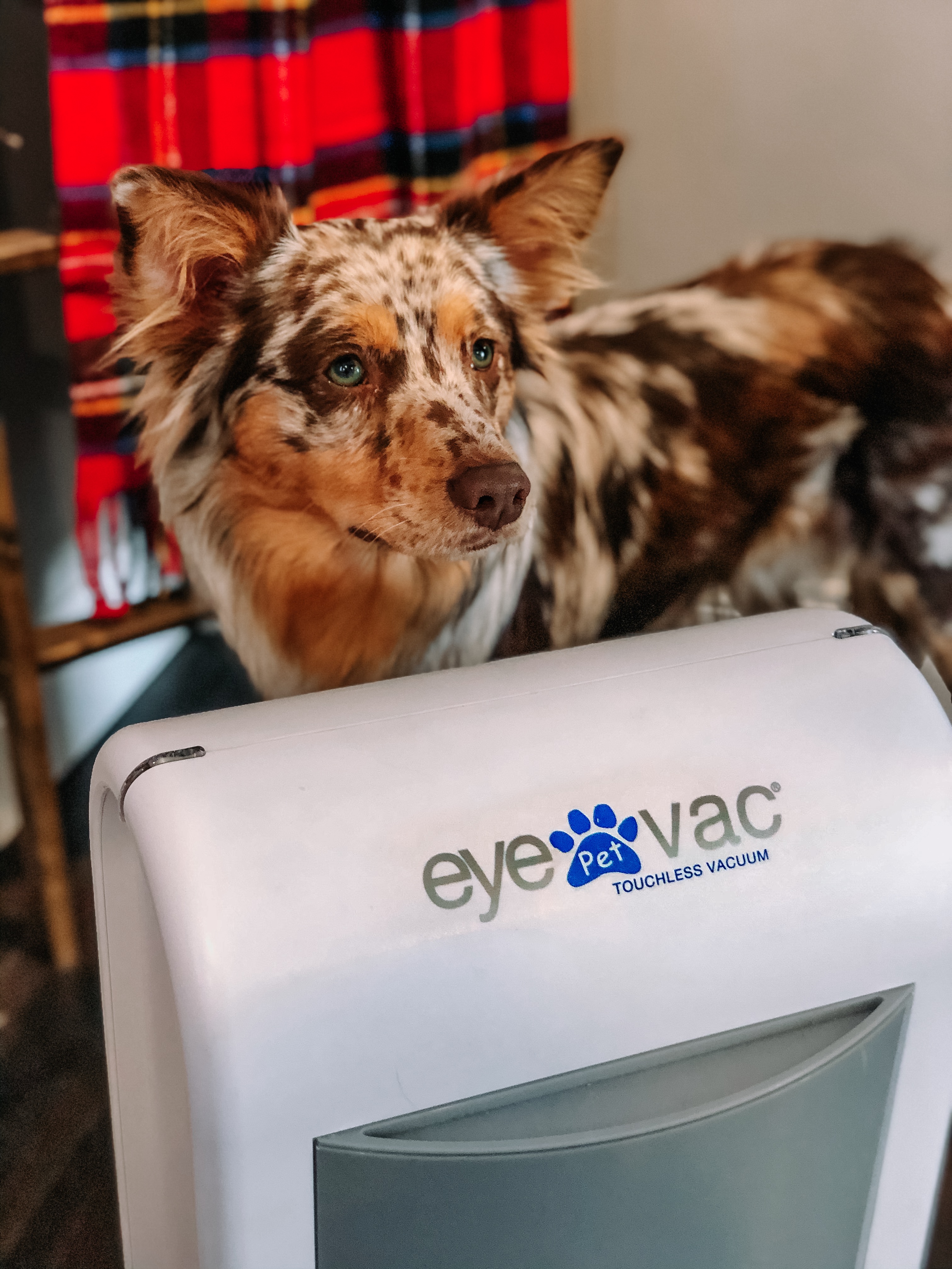 EyeVac Pet Touchless Stationary Vacuum for Pet Hair, Dust & Debris