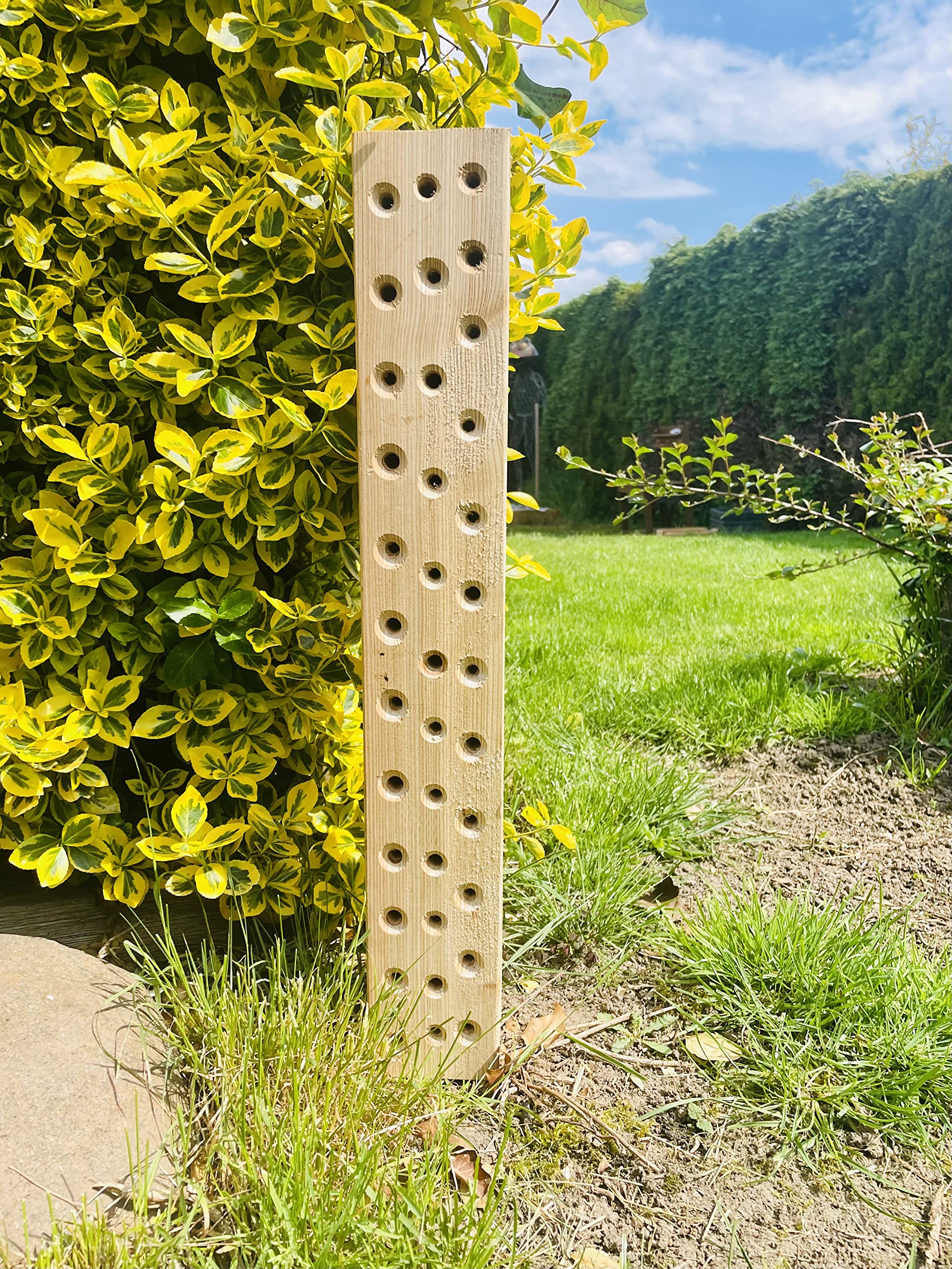Wildbienen - Insektenhotel Nisthilfe Hartholz Stamm Naturbelassen 600 mm Bienenhotel Stamm Insektenhotel Wildbienen Massivholz Hartholz Wildbienenhotel