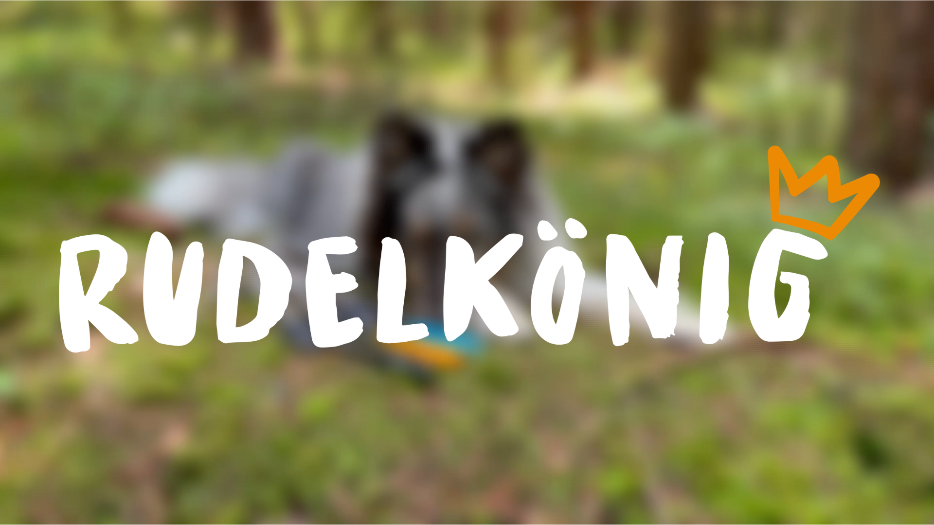 Pssopp Hond Training Fluitje Ultrasone Hond Fluitje Draagbare Hond Schors Controle Fluitje Verstelbare Frequentie Hond Fluitje Met Opknoping Ketting