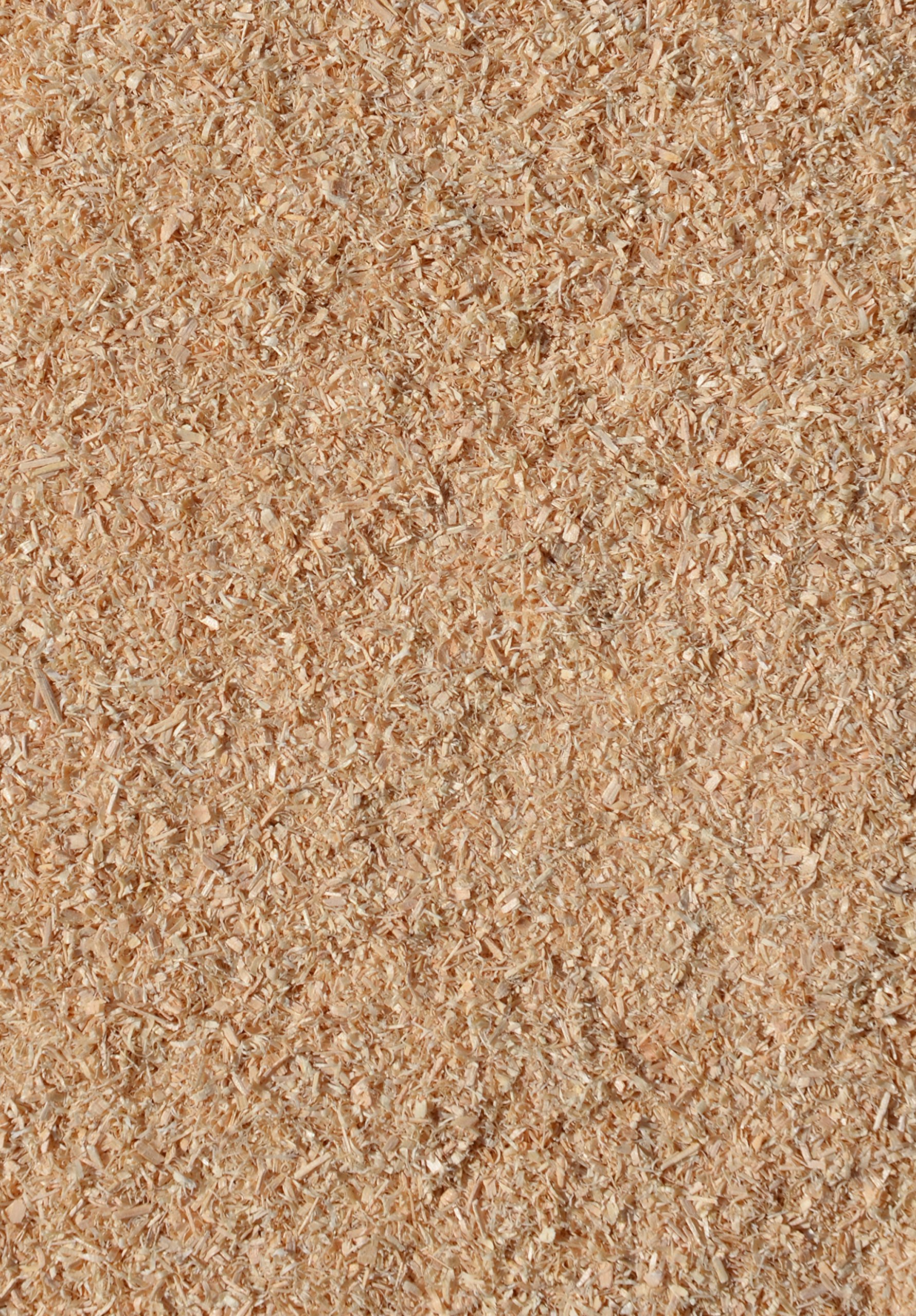 Grillgold Polvere di Legno per affumicatura Wood Smoking Dust Secchio da 2L Acero
