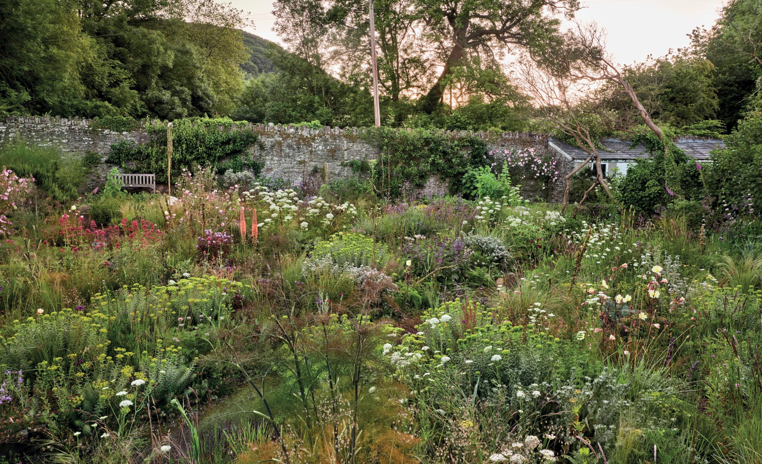 Pastorale Gärten: Inspirierende Gärten, wilde Landschaften und neue Ideen für nachhaltige Gartengestaltung.: Wo Natur auf Gartenkunst trifft.