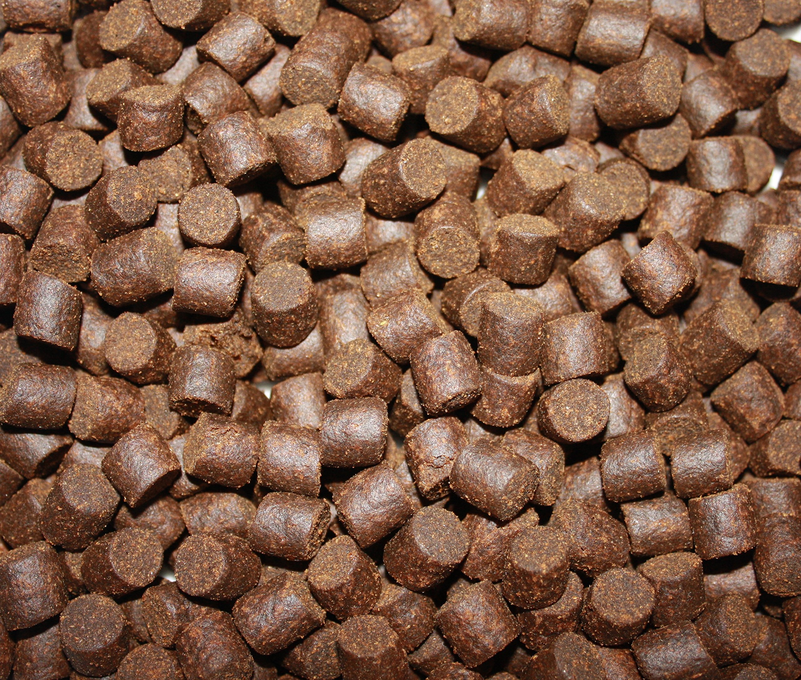 Störfutter extragroß 10mm Energiefutter für Störe, Tomodachi Premium Störsinkfutter deutsche Top Qualität, Störfutter ideal für das ganze Jahr, energiereich, hochverdaulich, arktische Rohstoffe 10kg