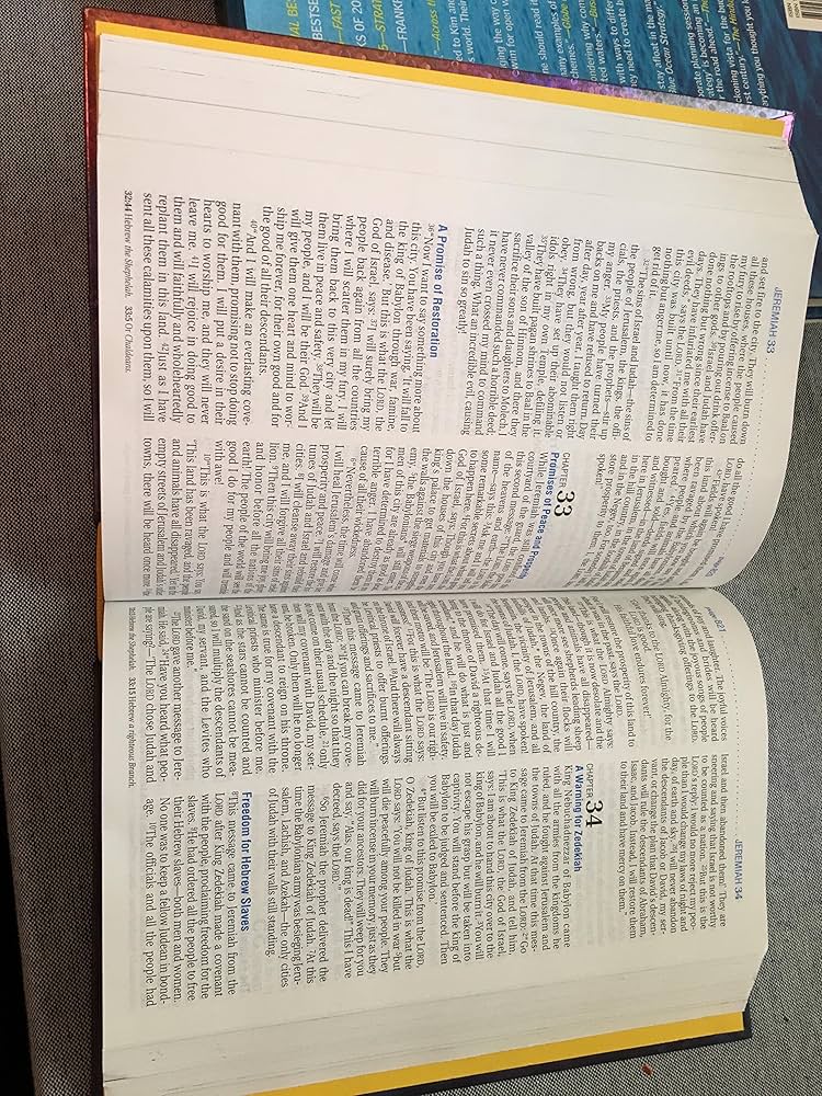 Kids life application bible 子供英語聖書 Kid's Life Application Bible NLT (hc): Tyndale