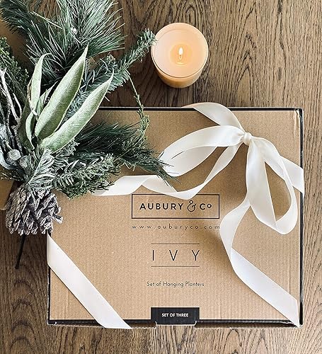 Miniatura 7 de AUBURY - Maceta colgante para plantas de interior, juego de 3 macetas colgantes de cerámica, macetas colgantes para suculentas, soportes colgantes